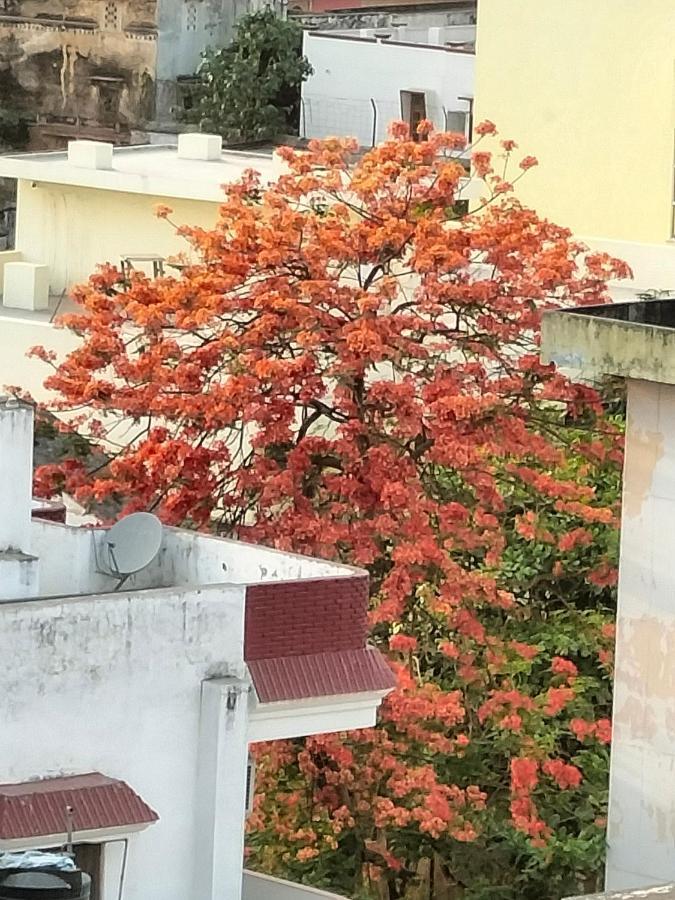 Purple Lotus Hotel Varanasi Exterior foto